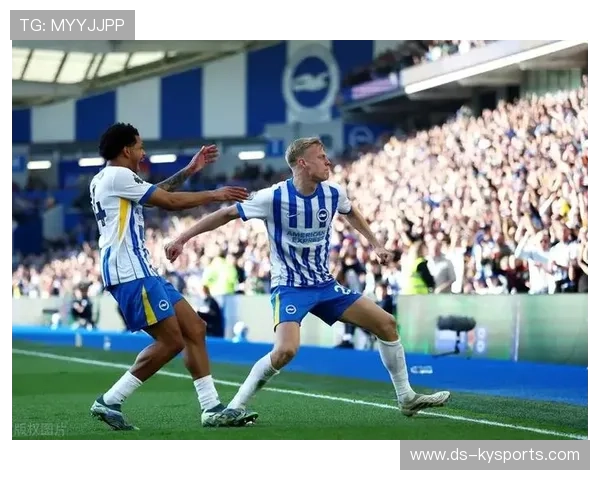布莱顿战术多变，海鸥军团力争更高排名，布莱顿为什么叫海鸥